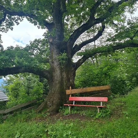 Appartement Gruentenausblick