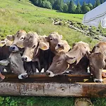 Apartman Gruentenausblick *