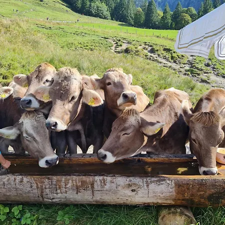 شقة Gruentenausblick Erholung Zwischen Alpenpanorama Seen Und Wanderwegen *